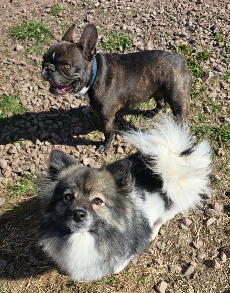Luna och Nyx